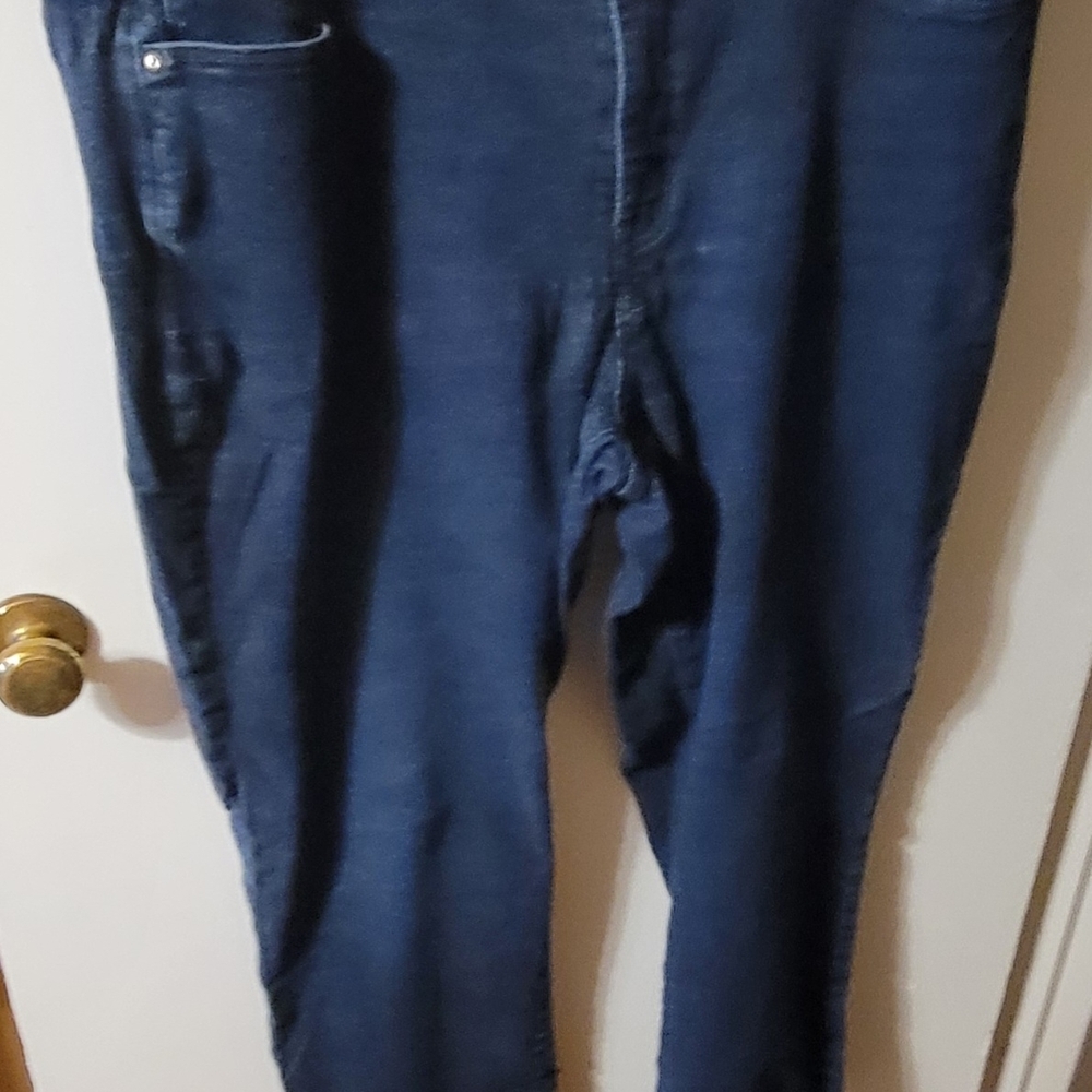 Lane Bryant Indigo Denim Pants